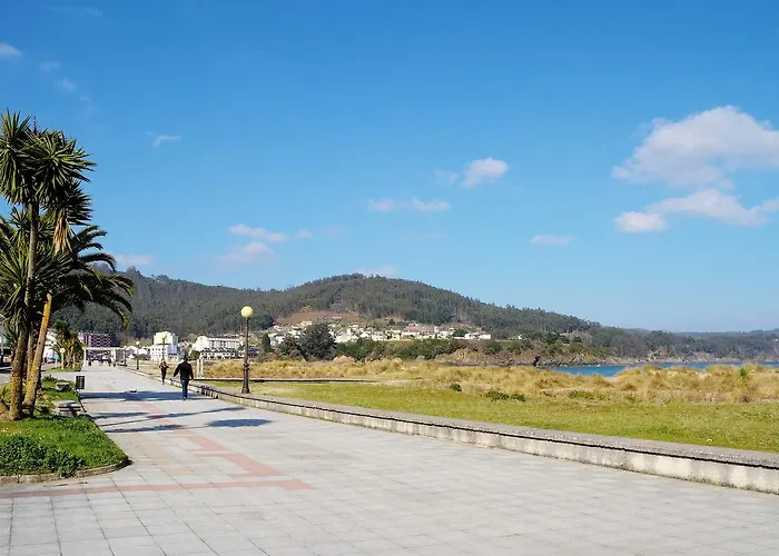 Duerming Park * Viveiro