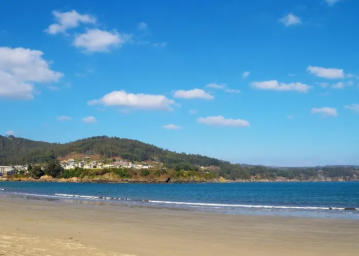 Duerming Park * Viveiro